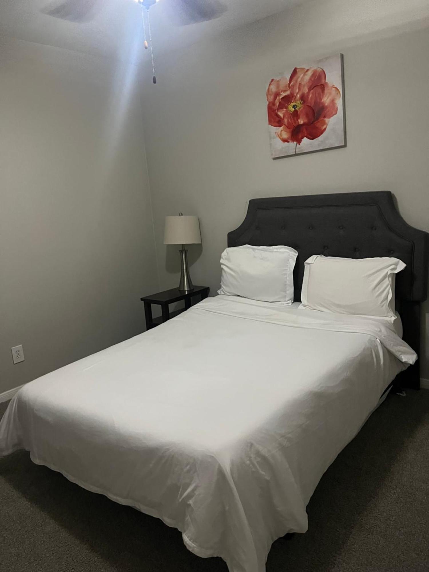 Resort Style Apt/Home In Houston Medical Centre חדר תמונה